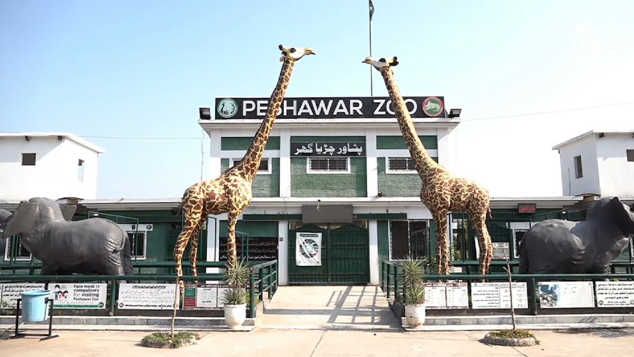 Peshawar Zoo Ticket Price & Timing
